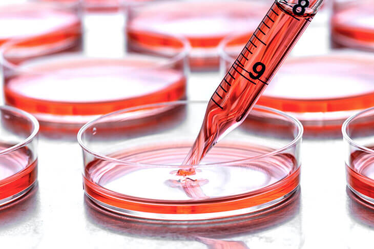 幹細胞培養液療法とは