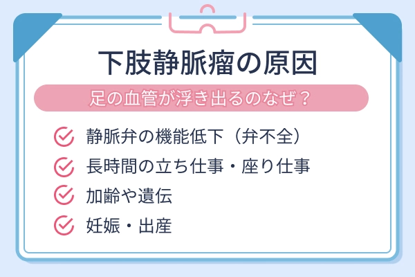 肢静脈瘤の主な原因｜静脈弁の機能低下・長時間の立ち仕事や座り仕事・加齢や遺伝・妊娠出産